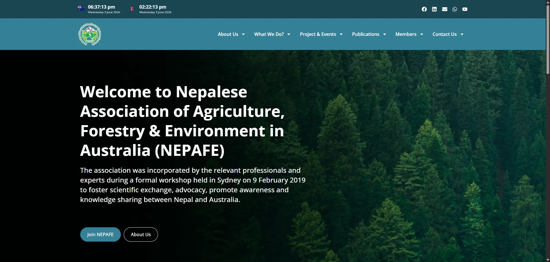 NEPAFE Website project preview